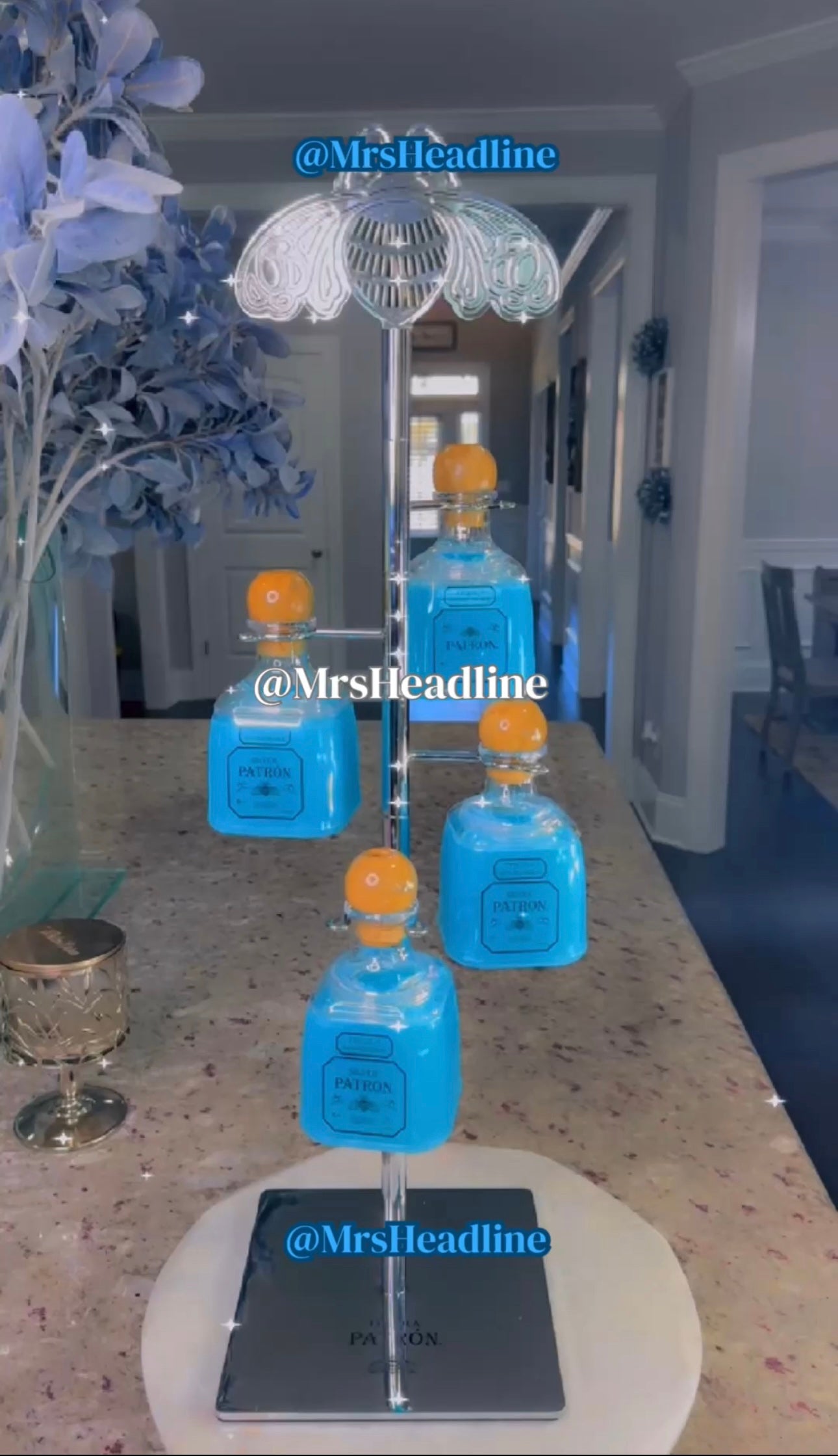 .1 (Bundle) Patron Stand With 6 Patron Cups